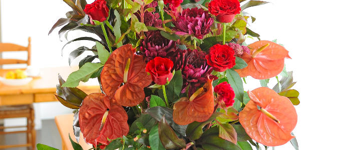 赤いハート型の アンスリウム 知って得する お花や観葉植物を贈る時の役立つアレコレ情報 ビジネスフラワー
