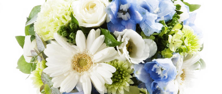 5月生まれの大切な人へ贈り物をするなら 知って得する お花や観葉植物を贈る時の役立つアレコレ情報 ビジネスフラワー