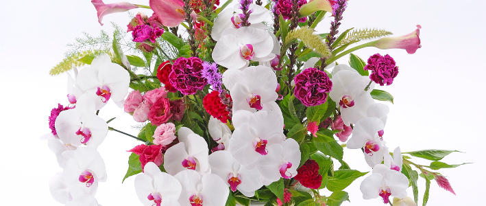 お店や会社の周年記念をお祝いするなら 知って得する お花や観葉植物を贈る時の役立つアレコレ情報 ビジネスフラワー