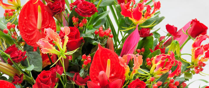 華やかな赤いお花の グロリオサ を育てよう 知って得する お花や観葉植物を贈る時の役立つアレコレ情報 ビジネスフラワー