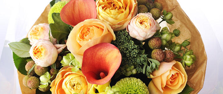 気品のある カラー の紹介 知って得する お花や観葉植物を贈る時の役立つアレコレ情報 ビジネスフラワー