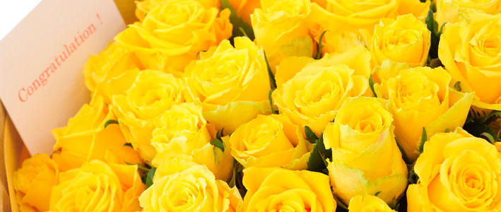 父の日には黄色いバラを贈るのが定番人気 黄色いガーベラもおすすめ 知って得する お花や観葉植物を贈る時の役立つアレコレ情報 ビジネスフラワー