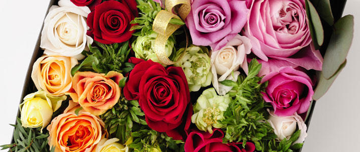 素敵な記念日になるための祝い花を贈ろう 知って得する お花や観葉植物を贈る時の役立つアレコレ情報 ビジネスフラワー
