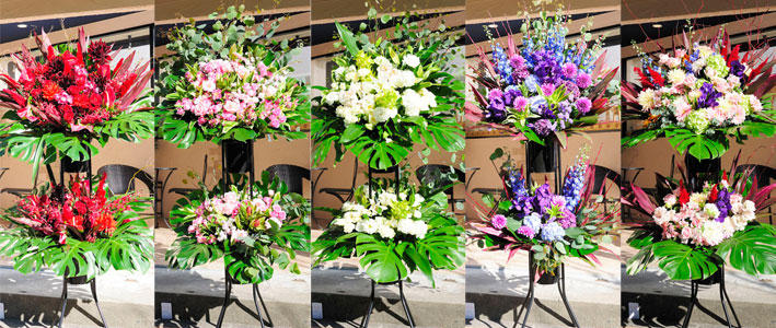 夏場の開店祝いに向いているお花 知って得する お花や観葉植物を贈る時の役立つアレコレ情報 ビジネスフラワー
