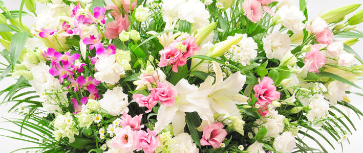 2月15日は何の日だかご存知でしょうか 知って得する お花や観葉植物を贈る時の役立つアレコレ情報 ビジネスフラワー