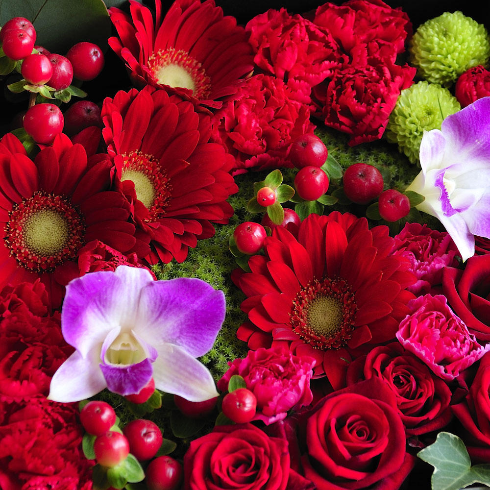 11月にお誕生日の方に贈りたいお花 知って得する お花や観葉植物を贈る時の役立つアレコレ情報 ビジネスフラワー