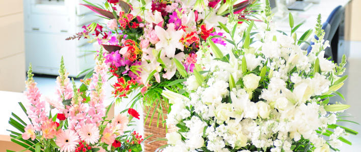 ほんのり甘い春の香り ストック 知って得する お花や観葉植物を贈る時の役立つアレコレ情報 ビジネスフラワー