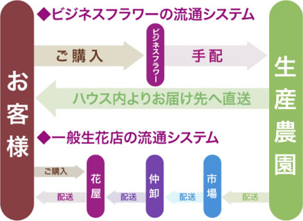 ビジネスフラワーの流通システム