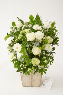 ビジネスフラワー提携デザイナー