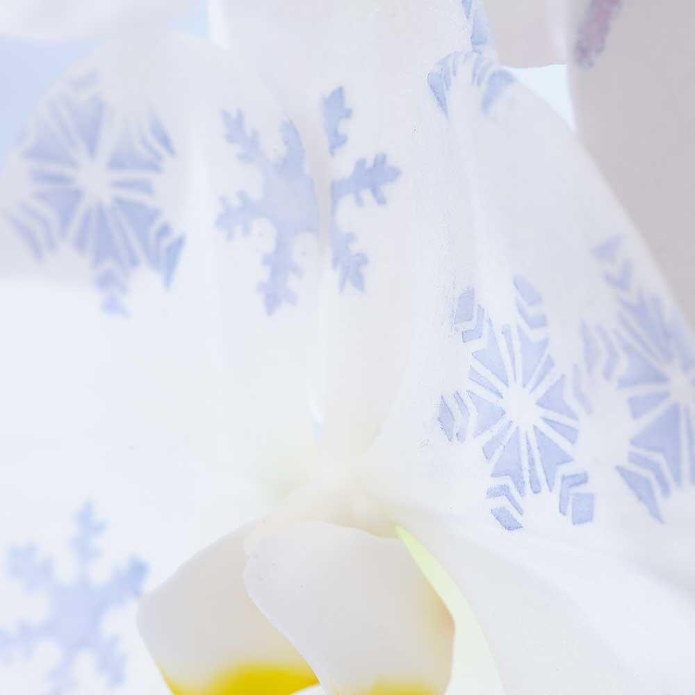 祝い花と供花の販売　ネットの花屋　ビジネスフラワー🄬｜化粧蘭　冬向けの雪の結晶柄イメージ