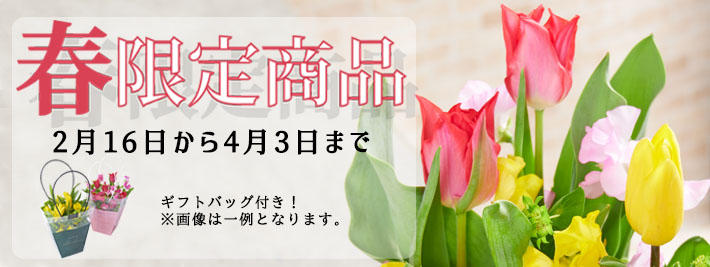 フラワーギフトやお花のプレゼントを全国に宅配 フラワーギフトの通販はビジネスフラワー フラワーギフトやお花のプレゼントを全国に宅配 フラワーギフトの通販はビジネスフラワー