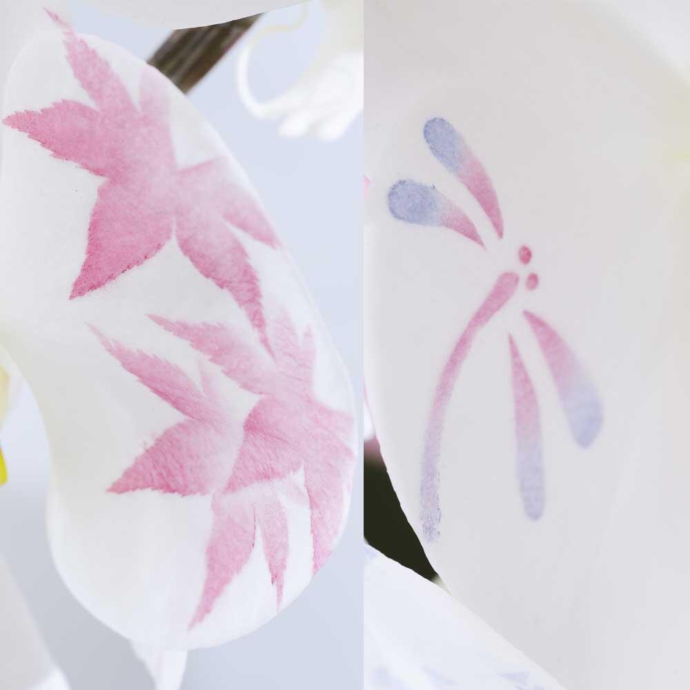 祝い花と供花の販売　ネットの花屋　ビジネスフラワー🄬｜化粧蘭　秋向けの紅葉とトンボの柄イメージ