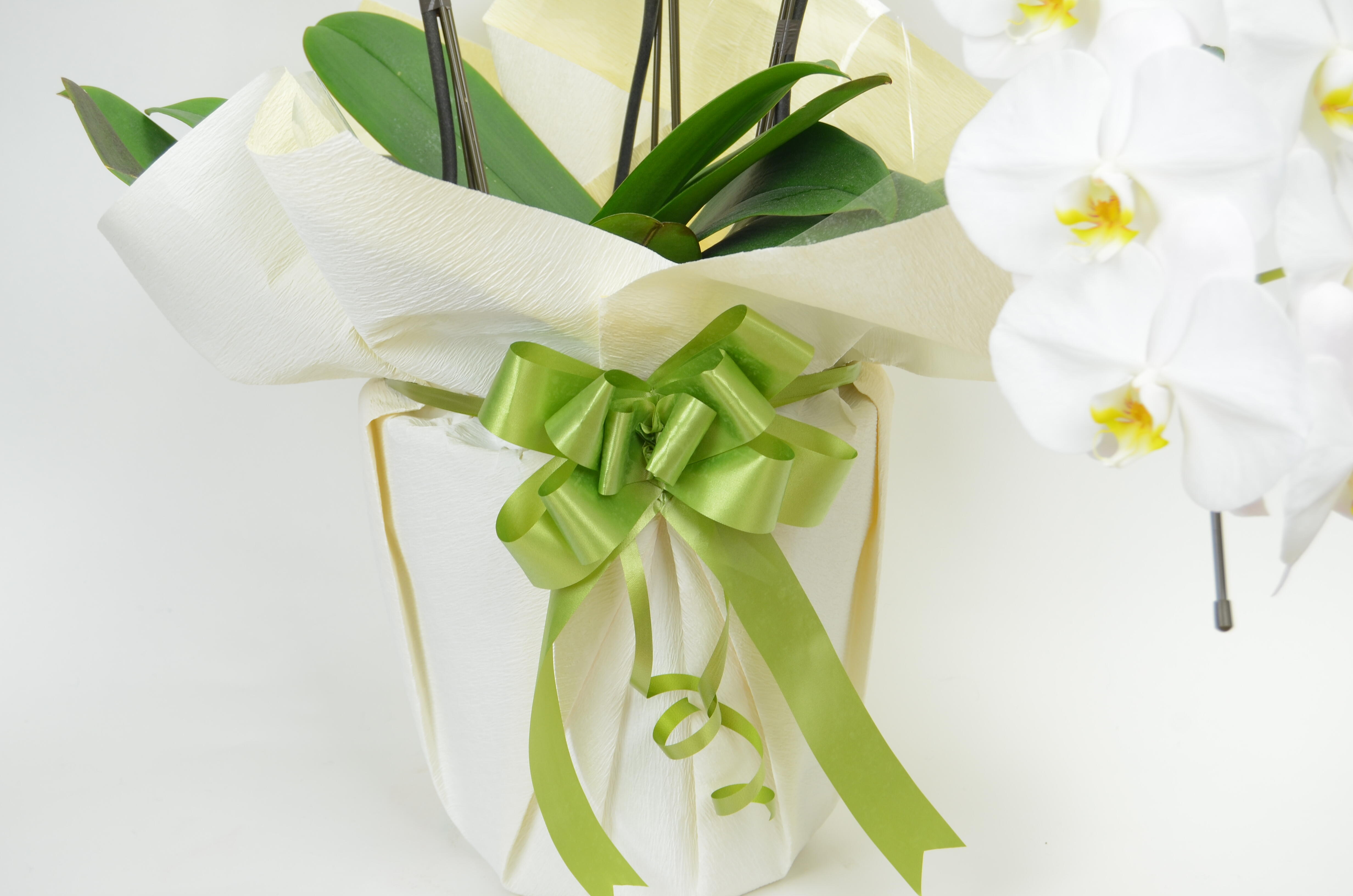 祝い花と供花の販売　ネットの花屋　ビジネスフラワー🄬｜リボン（緑色）