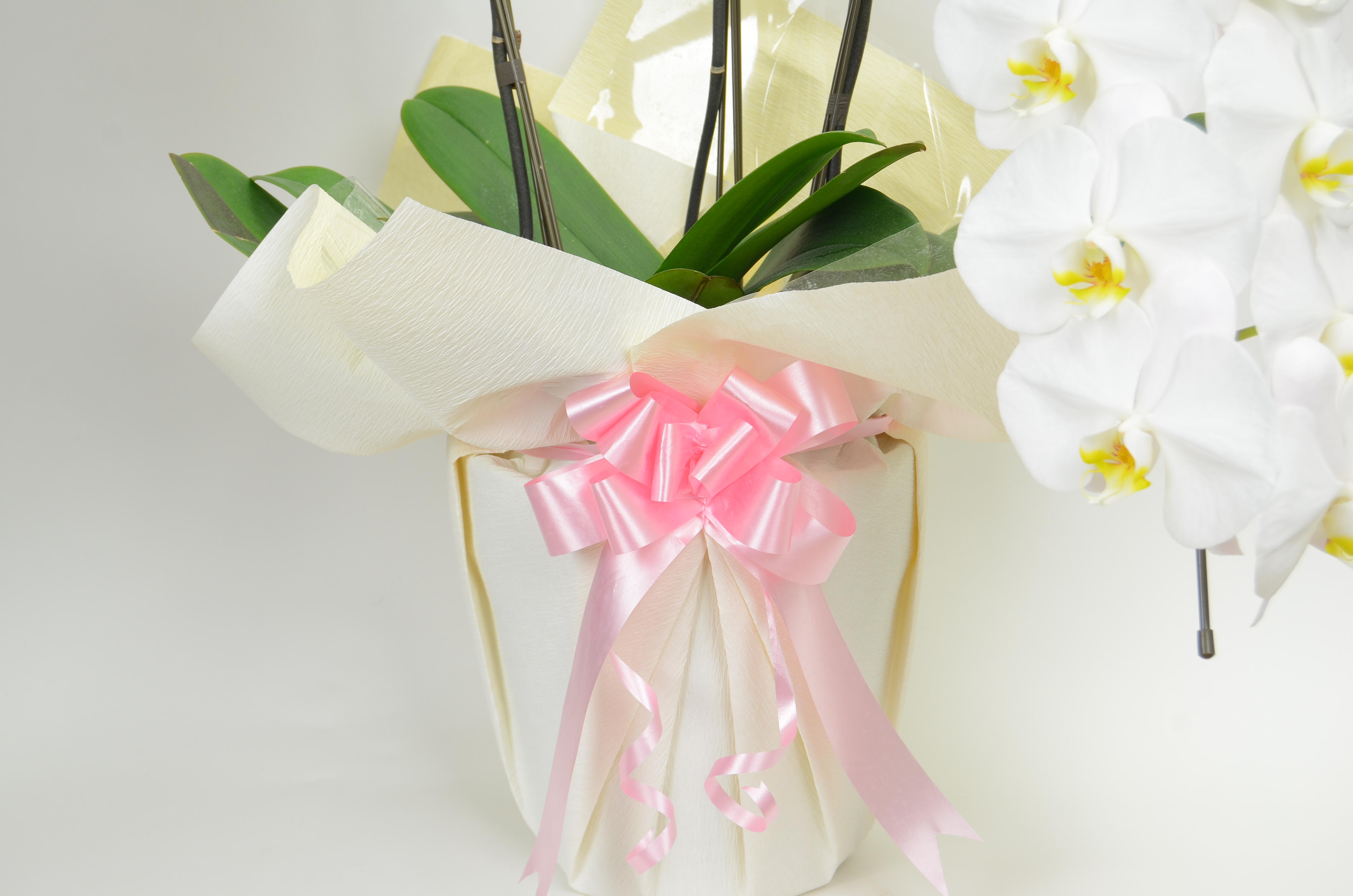祝い花と供花の販売　ネットの花屋　ビジネスフラワー🄬｜リボン（ピンク色）