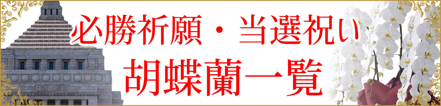 祝い花と供花の販売 ネットの花屋 ビジネスフラワー® |お祝い事 上場・当選祝い