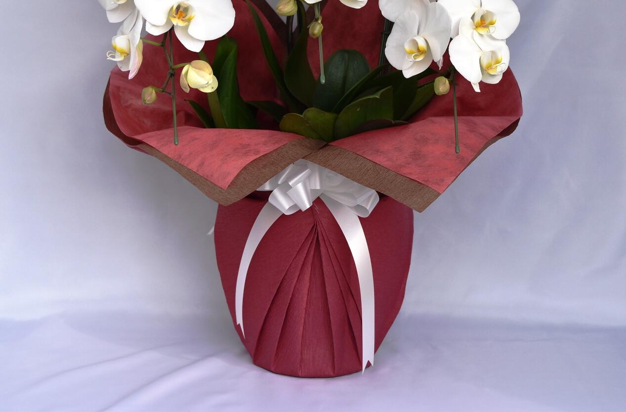 祝い花と供花の販売　ネットの花屋　ビジネスフラワー🄬｜包装紙（赤色）