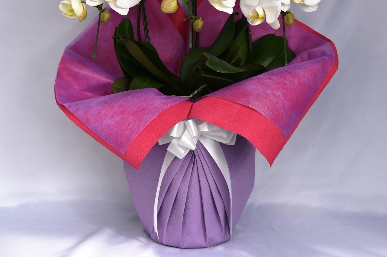 祝い花と供花の販売　ネットの花屋　ビジネスフラワー🄬｜包装紙（紫色）