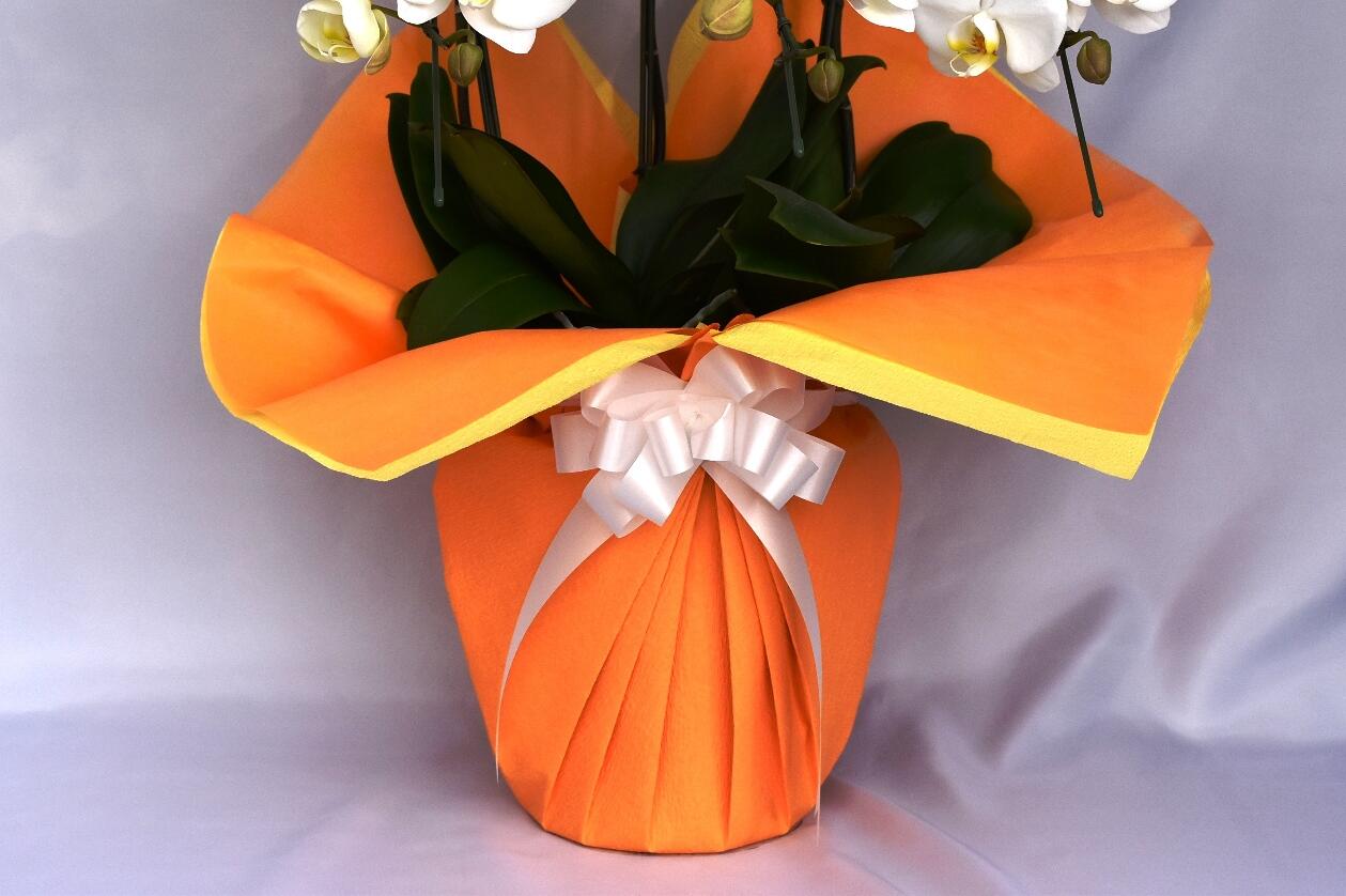 祝い花と供花の販売　ネットの花屋　ビジネスフラワー🄬｜包装紙（オレンジ色）