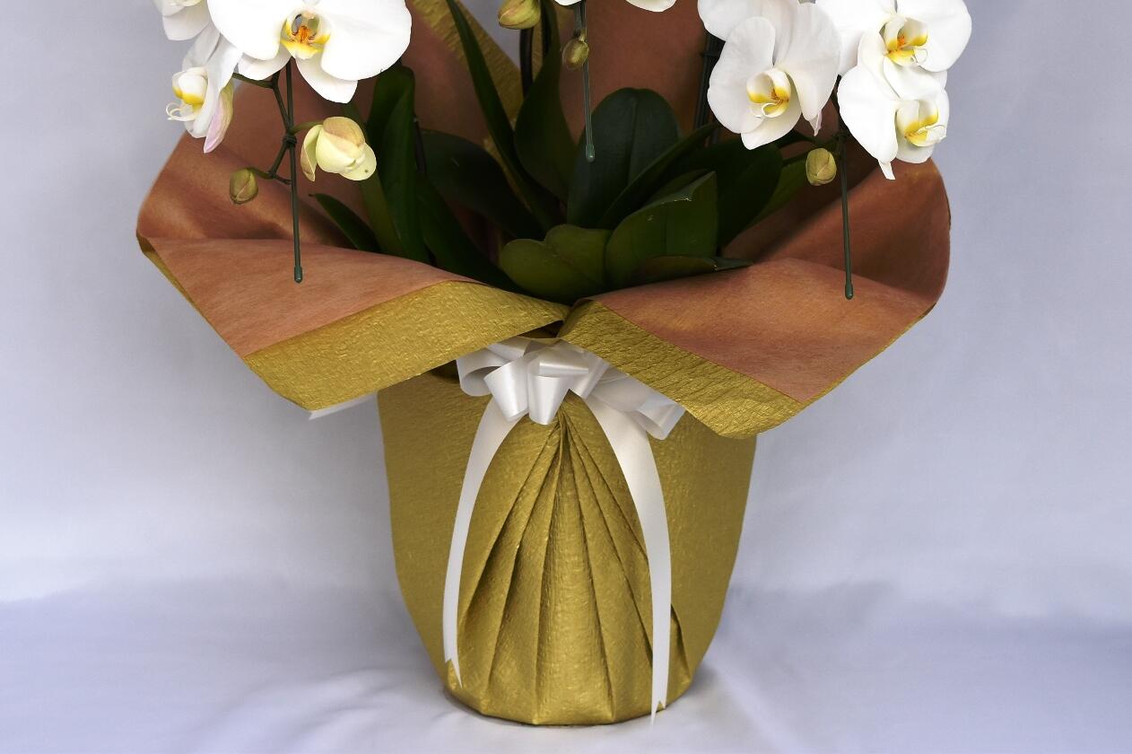 祝い花と供花の販売　ネットの花屋　ビジネスフラワー🄬｜包装紙（ゴールド色）