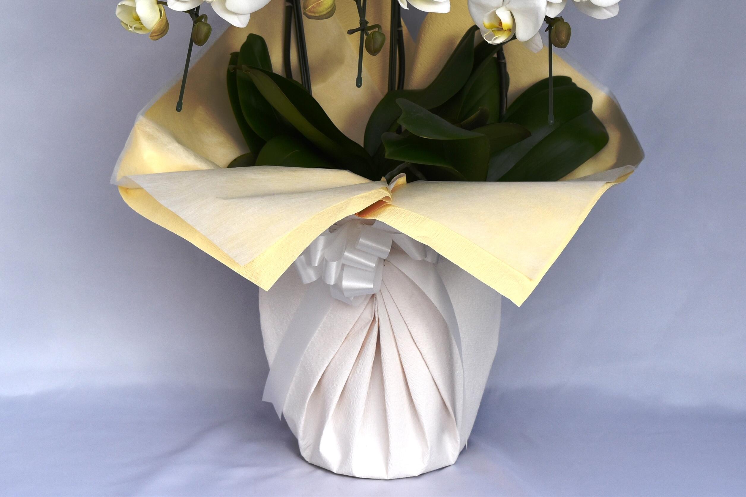 祝い花と供花の販売　ネットの花屋　ビジネスフラワー🄬｜包装紙（白色）