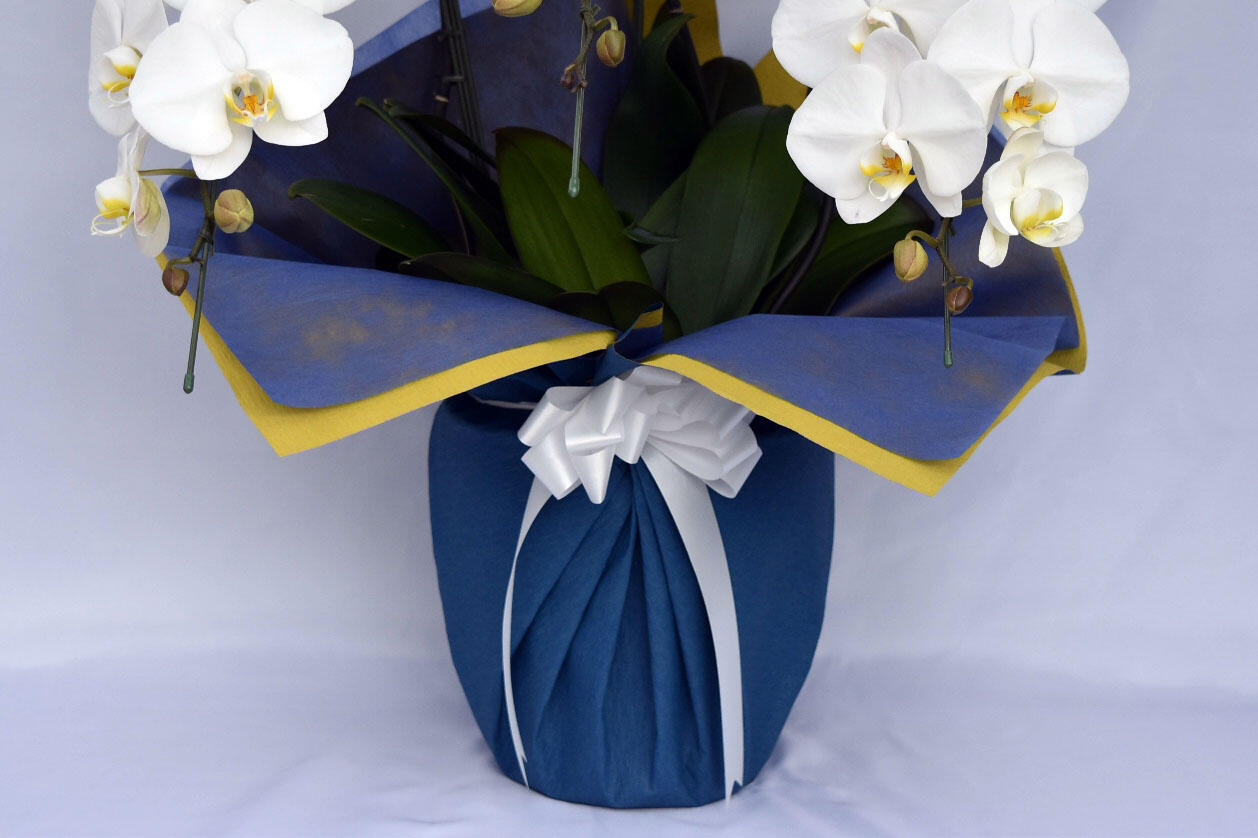 祝い花と供花の販売　ネットの花屋　ビジネスフラワー🄬｜包装紙（青色）