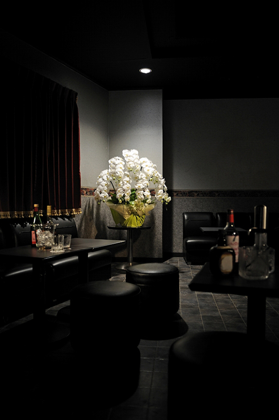 <p>シュックなバーやレストランの片隅に置くとより豪華で優雅な雰囲気が強くなる胡蝶蘭です。</p>