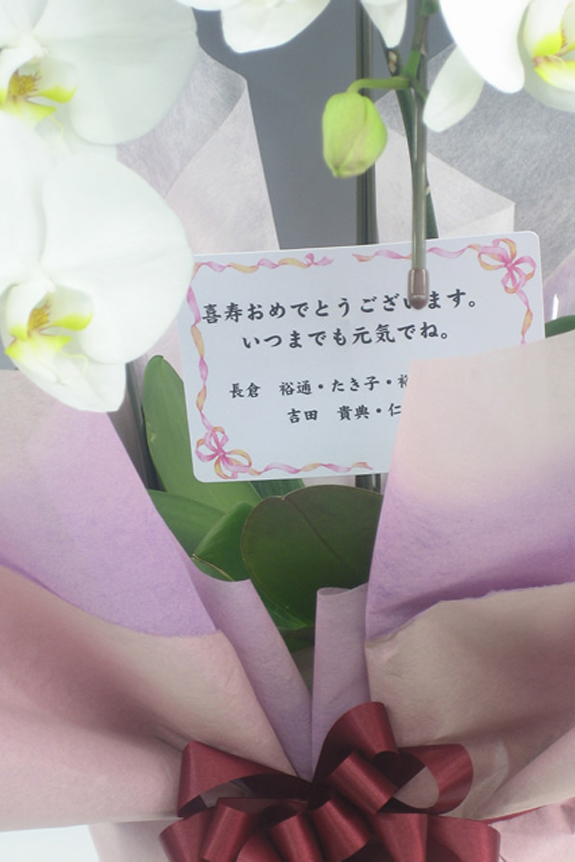 <p>立札かメッセージカードの選択が可能です。<br />
※立札は御祝いの文言と贈り主のお名前ですが、カードは文書を30文字程度までメッセージの記載が可能です。</p>