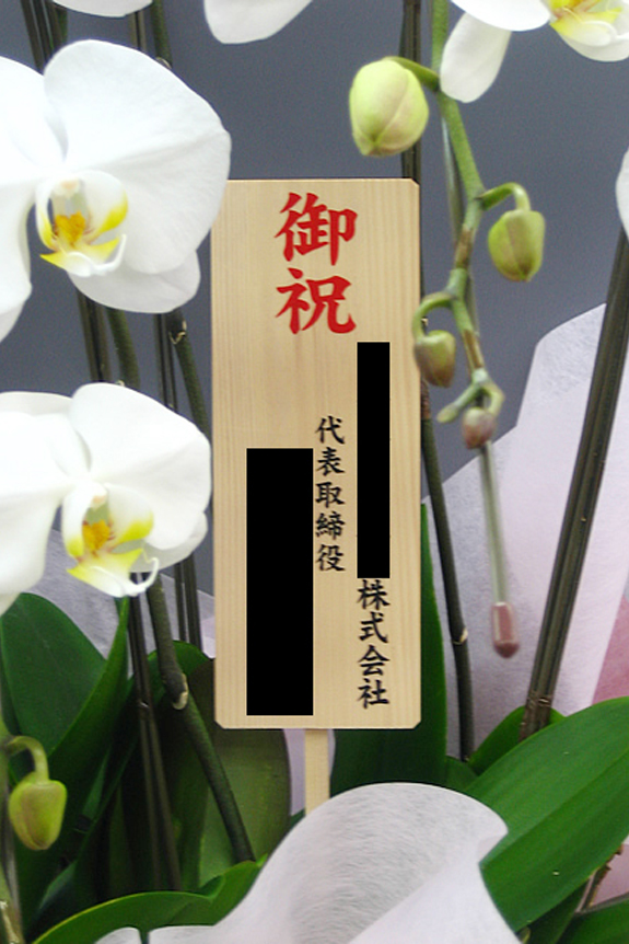 ダイヤモンドオーキッド 3本立大輪胡蝶蘭（27輪以上） ｜ 祝い花と供花の販売 ネットの花屋 ビジネスフラワー®