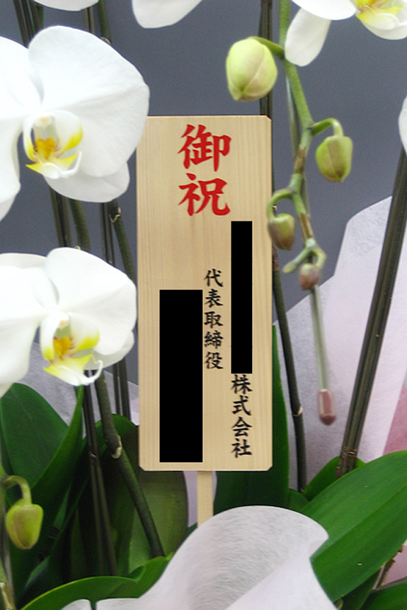 <p>木札かメッセージカードの選択が可能です。<br />
※木札は御祝いの文言と贈り主のお名前ですが、カードは文書を30文字程度までメッセージの記載が可能です。</p>