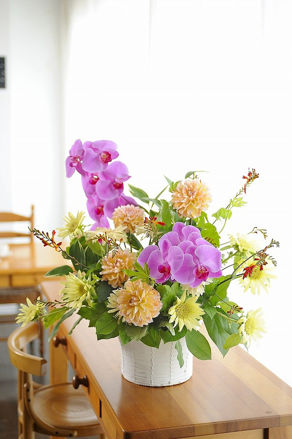<p>「世界らん展　日本大賞」を幾度も受賞している厳選生産者の胡蝶蘭をアレンジメントフラワーの指定素材として惜しみなく使用しています。</p>