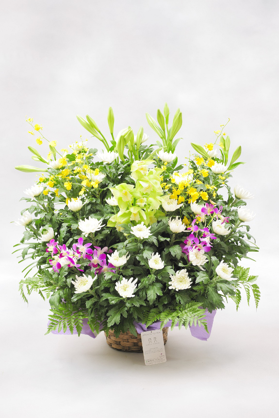 <p>2万円コースは標準クラスに比べ、花材のボリュームを大幅アップしているため、お供え花ではとても大きな見栄えのする仕立てとなっております。</p>