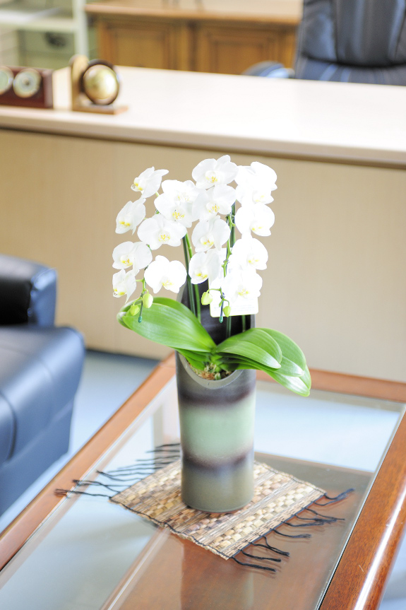 <p>和室、洋室問わずお楽しみ頂けるデザインとなっております。尚、お花は可愛らしい白系の胡蝶蘭となります。</p>