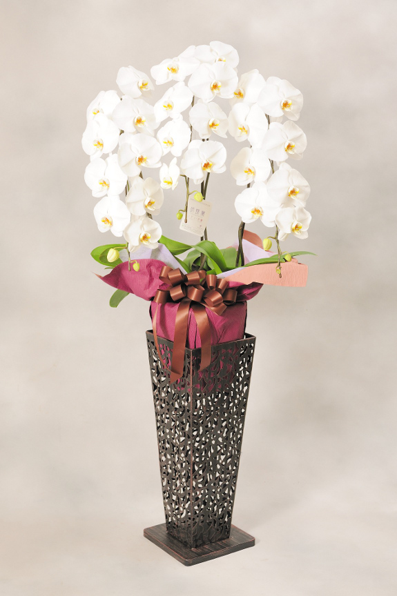 <p>ブリキ製のアートスタンドはお花をお洒落に引き立て、アートな空間を演出するのに最適なコースです。</p>