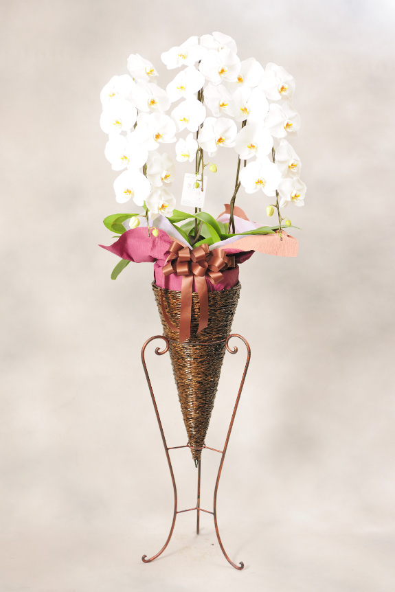 <p>コーン型のアートスタンドはお花を可愛らしく引き立て、スッキリとした空間を演出するのに最適なコースです。</p>