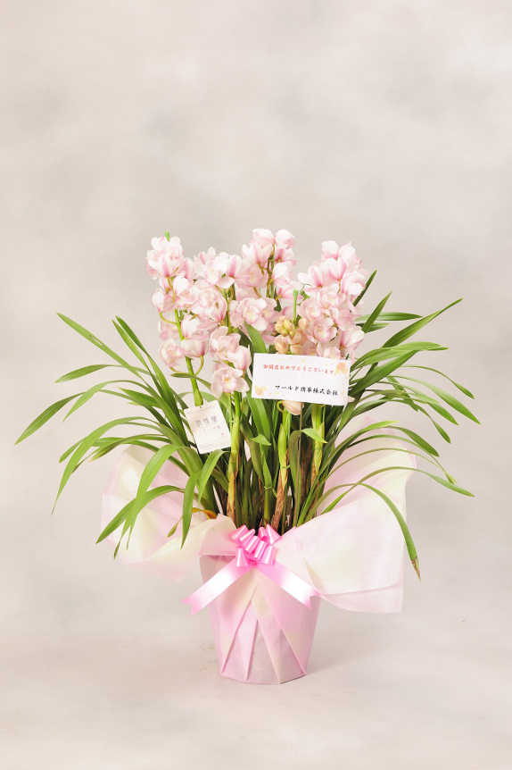 <p>お花には立札またはメッセージカードをお付けしております。</p>