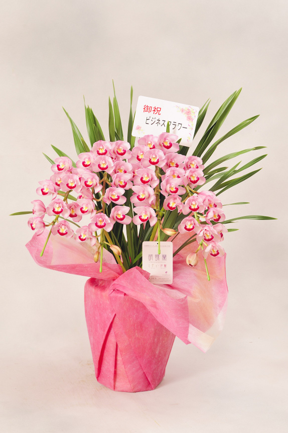 <p>お花には立札またはメッセージカードをお付けしています。</p>