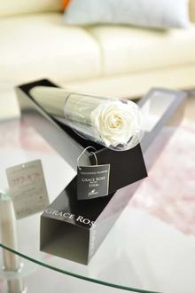 プリザーブドフラワー　Luxury Rose　パールホワイト（FL092-01）