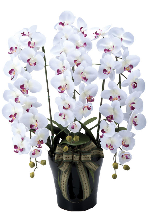 <p>受付やオフィス、リビングのインテリアとしても人気の胡蝶蘭の造花アート・アレンジメント</p>