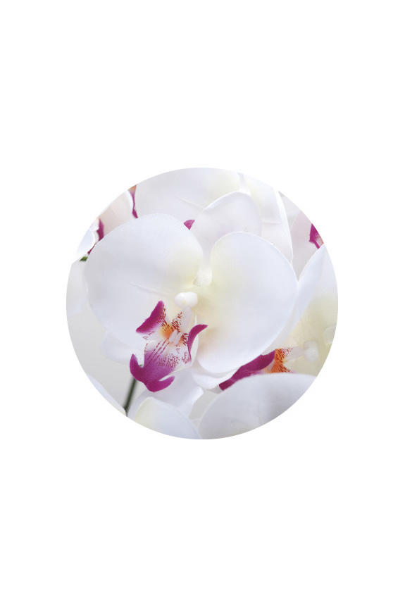 <p>リアリティを追求した胡蝶蘭の高級造花アート・アレンジメント</p>