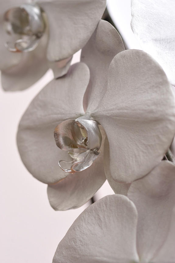 <p>鮮やかに色付けされたカラー胡蝶蘭彩（irodori）リングの花びらは、インパクトがあり美しい見た目が特徴です。</p>