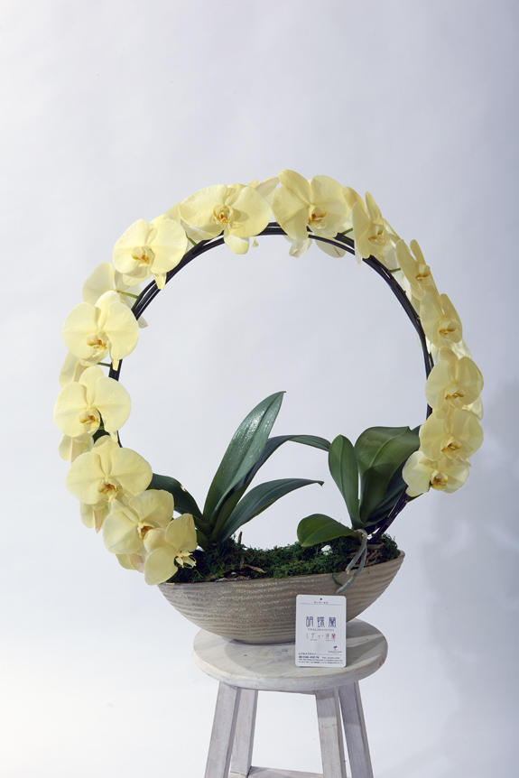 <p>色、形状、花器のどれをとっても他と差をつけられるのがカラー胡蝶蘭彩（irodori）リング ラメ付きの特徴です。</p>