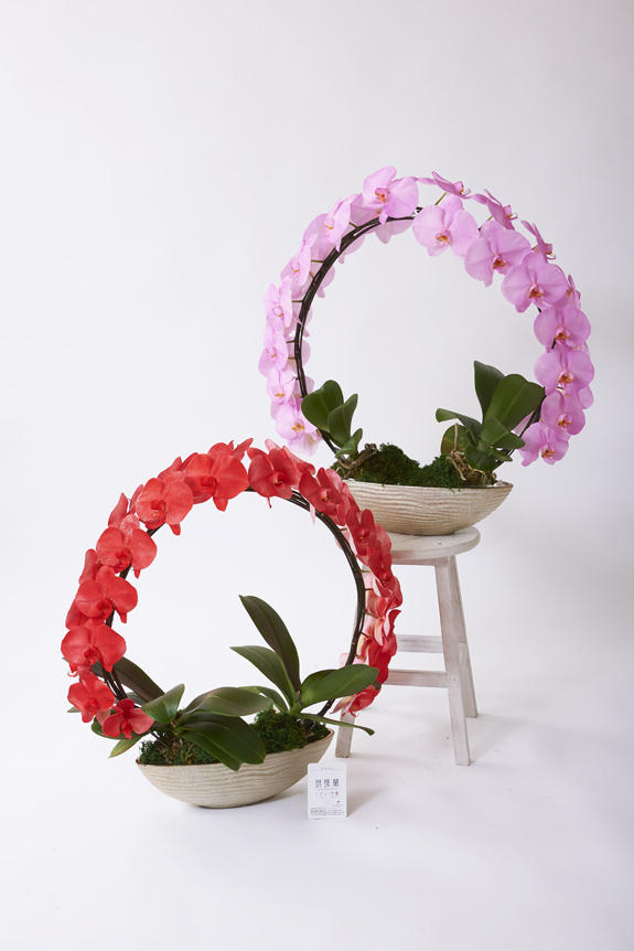 <p>色、形状、花器のどれをとっても他と差をつけられるのがラメ付きカラー胡蝶蘭彩（irodori）リング2鉢セット（イメージ）の特徴です。</p>