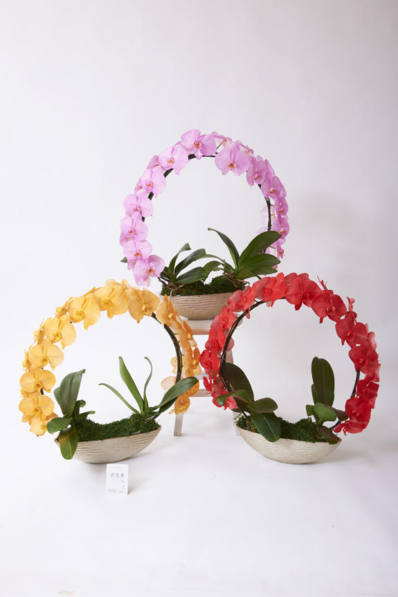<p>色、形状、花器のどれをとっても他と差をつけられるのがラメ付きカラー胡蝶蘭彩（irodori）リング3鉢セット（イメージ）の特徴です。</p>