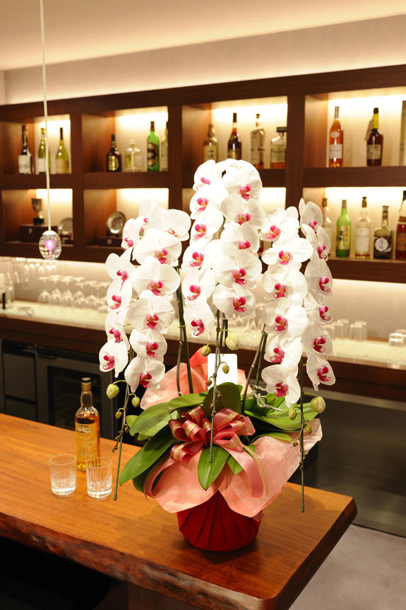 <p>胡蝶蘭を開店祝いや開業祝いにお届けすると、華やかで豪華な演出が出来る為、お祝い花として人気です。</p>
