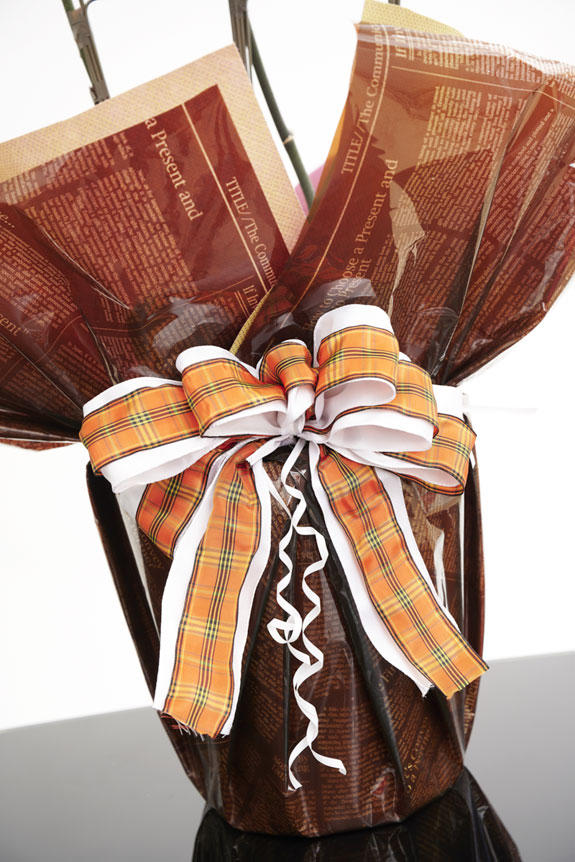 <p>［ショコラショコラ］チョコレートを連想させる茶色の包装紙とオレンジのチェック柄リボンが特徴のラッピングです。ポップで可愛らしく、どことなく温かみを感じるカラーのこだわりラッピング胡蝶蘭です。</p>