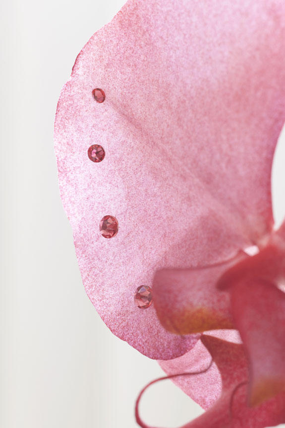 <p>特殊加工で色付けた胡蝶蘭の花びらに、同色のスワロフスキーのラインストーンが輝くお洒落で特別な一品です。</p>