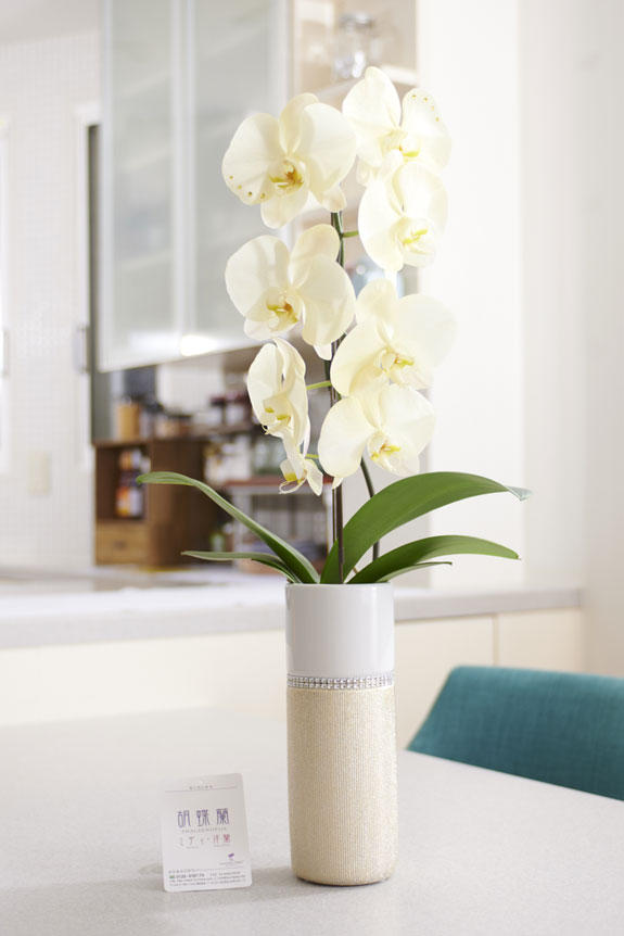 祝い花と供花の販売 ネットの花屋 ビジネスフラワー 11月の誕生石をイメージしたラインストーン入りカラー胡蝶蘭 彩 Irodori と星座のロゴ入りメッセージカード
