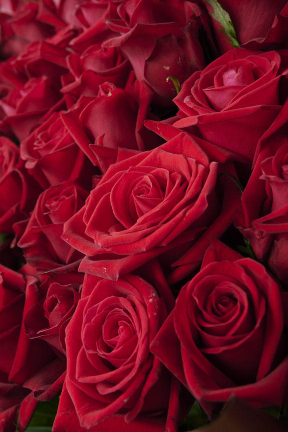 祝い花と供花の販売 ネットの花屋 ビジネスフラワー アートスタンド花 高級薔薇スタンド 赤バラ30本 コーン型