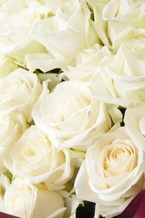 <p>皇室献上実績、農林水産大臣賞など、数々の受賞歴のある農園で生産した新鮮なバラを使用しています。</p>
