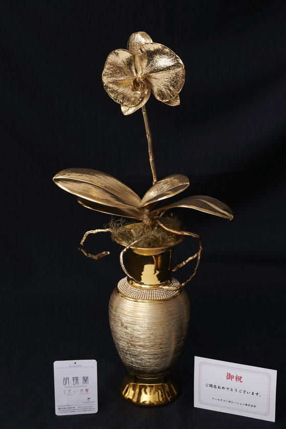 <p>重要なお祝い花にお薦め。まるで国宝品の様な姿が特徴の胡蝶蘭商品です。</p>